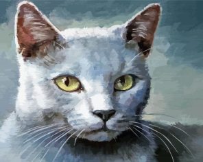Aesthetic Grey White Cat paint by numbers