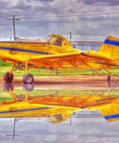 Crop Duster Plane paint by numbers