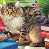 Cute Cat With Books paint by numbers