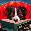 Dog Reading A Book paint by numbers