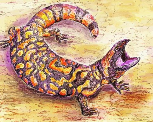 Gila Monster paint by numbers