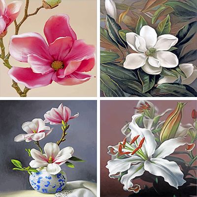 magnolia  Painting by Numbers