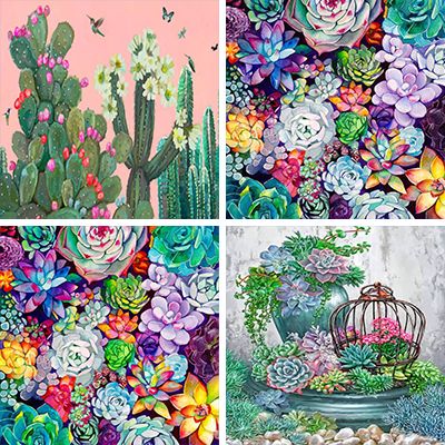 Succulents - Paint by numbers - Numeral Paint