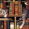 Vintage Cat With Books paint by numbers