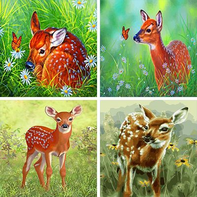 white  tailed deers  paint by Numbers   