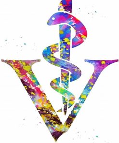 Colorful Veterinarian symbol paint by numbers