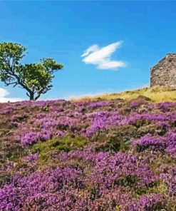 Heather Landscape paint by numbers