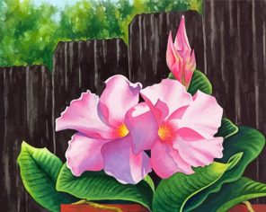 Mandevilla Flowers paint by numbers