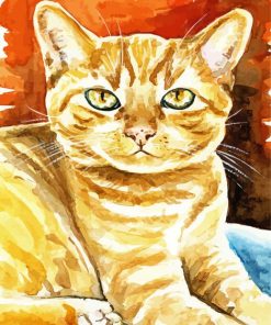 Orange Tabby Cat paint by numbers