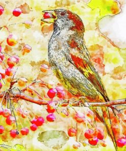Sparrow On Cherry Branch paint by numbers