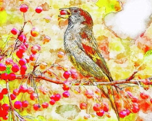 Sparrow On Cherry Branch paint by numbers