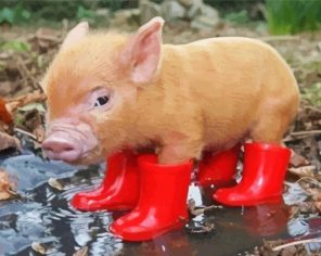 Pig Wearing Boots paint by numbers