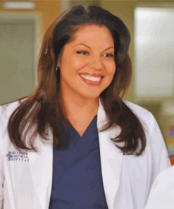 The Actress Sara Ramirez paint by numbers