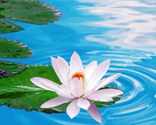 Lotus Flower On Water paint by numbers