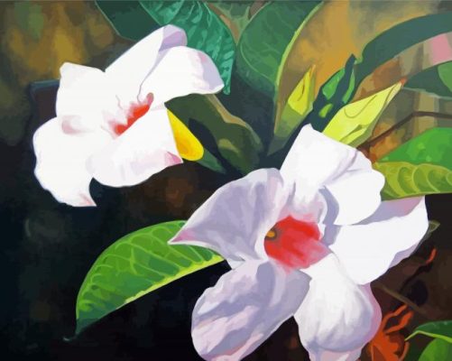 White Mandevilla paint by numbers
