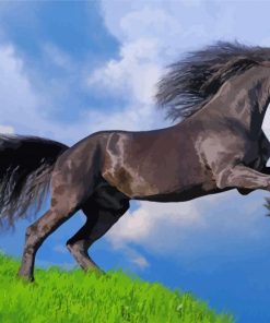 Black Horse paint by numbers