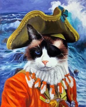 Pirate Cat Art paint by numbers