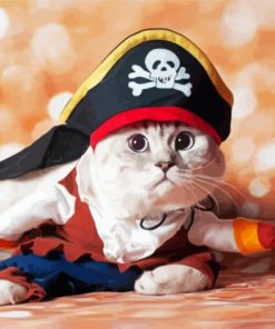 Cute Pirate Cat paint by numbers