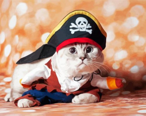 Cute Pirate Cat paint by numbers