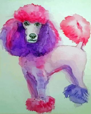 Pink Poodle  paint by numbers