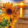 Sunflower Beach Sunset paint by numbers
