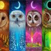 Four Seasoned Owls paint by numbers