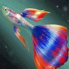 Guppy Fish paint by numbers