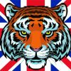 Aesthetic Patriotic Tiger paint by numbers