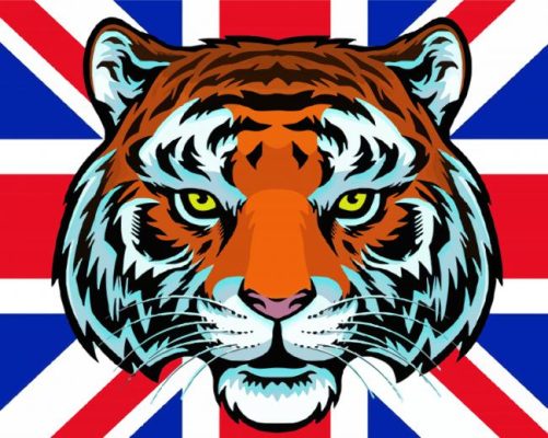 Aesthetic Patriotic Tiger paint by numbers