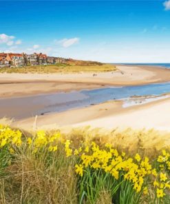 Alnmouth Beach England paint by numbers