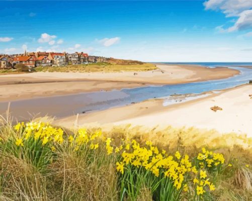 Alnmouth Beach England paint by numbers