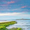 Coquet Island Alnmouth paint by numbers