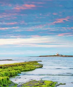 Coquet Island Alnmouth paint by numbers