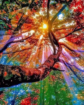 Sunset Trippy Tree paint by numbers