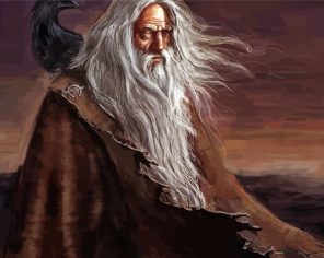 Odin Viking paint by numbers