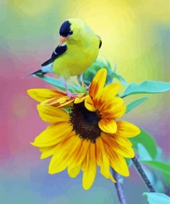 Sunflower And Bird paint by numbers