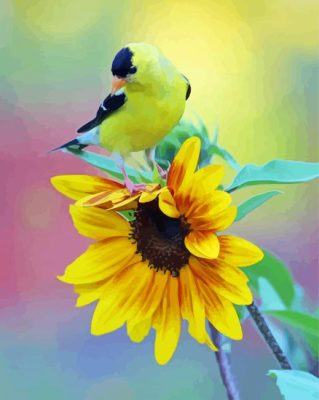 Sunflower And Bird paint by numbers