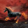 Black Horse In Flames paint by numbers