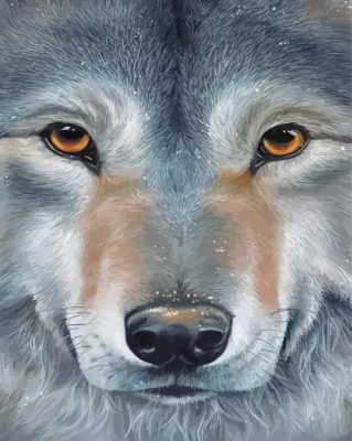 Wolf Face paint by numbers