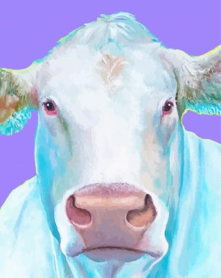 Charolais Cattle Art paint by numbers