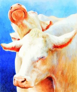 Charolais Cattles Animals paint by numbers