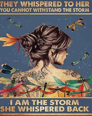 I am The Storm paint by numbers