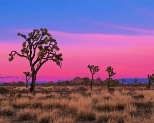 Joshua Tree National Forest paint by numbers
