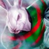 Nrl South Sydney paint by numbers