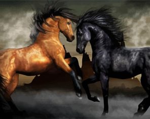 Brown And Black Horses paint by numbers