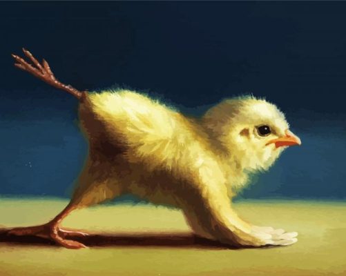Chick Doing Yoga paint by numbers