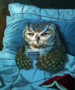 Sleepy Owl paint by numbers