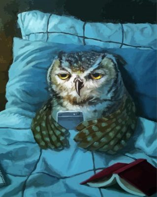 Sleepy Owl paint by numbers