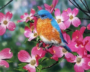 Bluebird On Dogwood paint by numbers
