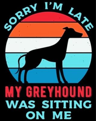 Sorry I'm Late My Greyhound Was Sitting On Me  paint by numbers 